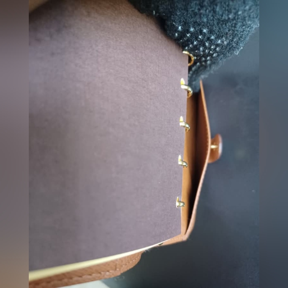 LOUIS VUITTON AGENDA PM MONOGRAM - Picture 8 of 10